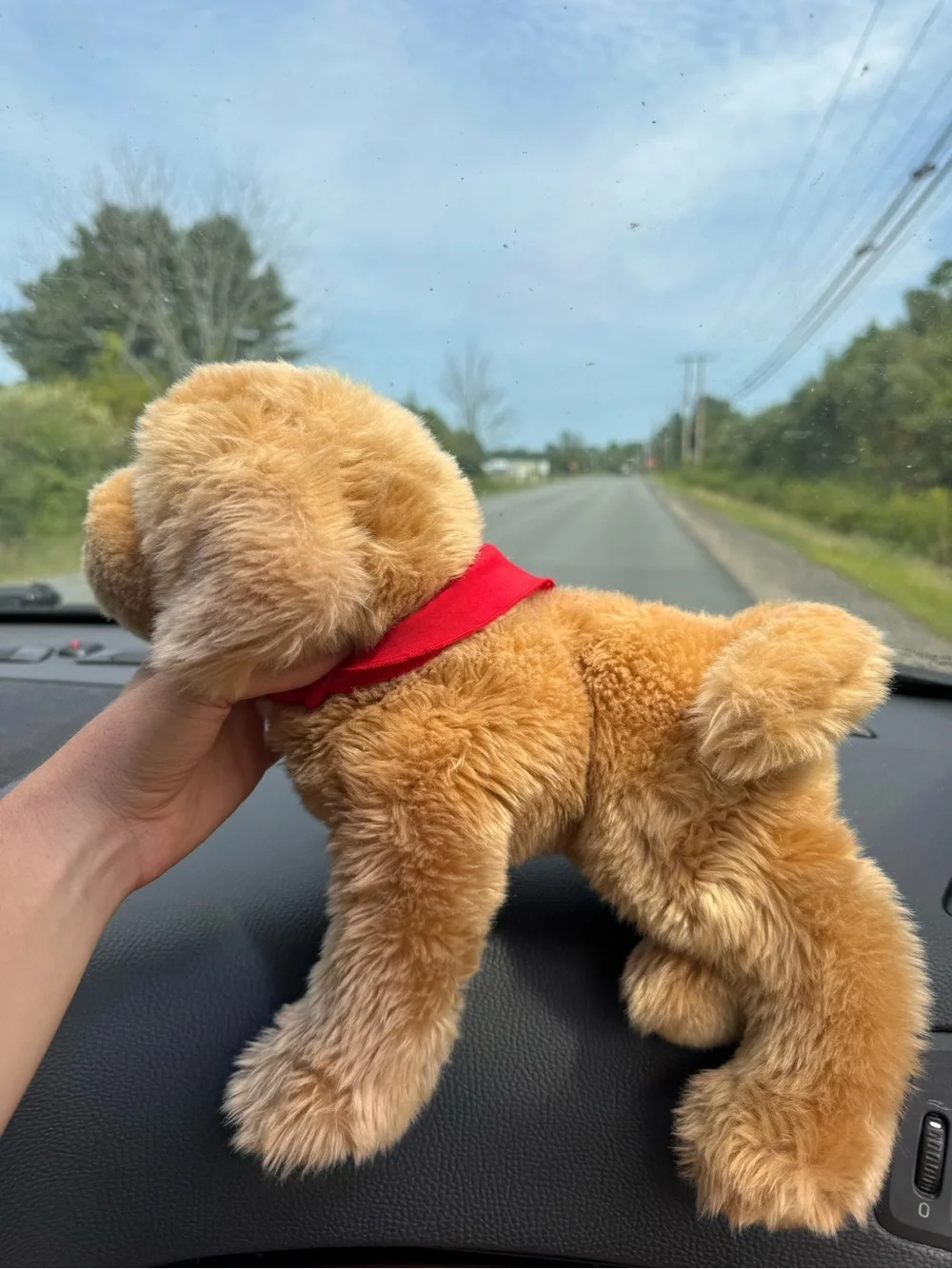 L.L.Bean X Douglas Golden retriever dog with Red LL bean Bandana